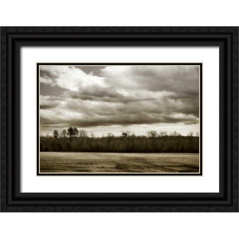 Winter Fields III Black Ornate Wood Framed Art Print with Double Matting by Hausenflock, Alan
