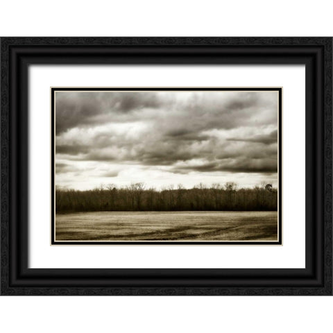 Winter Fields IV Black Ornate Wood Framed Art Print with Double Matting by Hausenflock, Alan