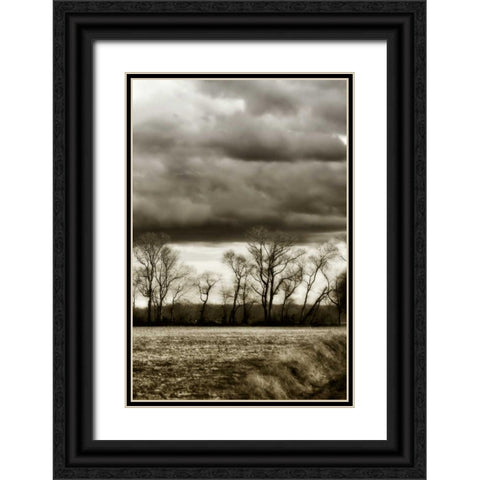 Winter Fields V Black Ornate Wood Framed Art Print with Double Matting by Hausenflock, Alan