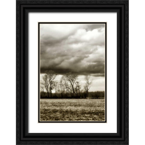 Winter Fields VI Black Ornate Wood Framed Art Print with Double Matting by Hausenflock, Alan