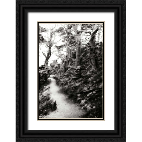 North Point Pathway I Black Ornate Wood Framed Art Print with Double Matting by Hausenflock, Alan