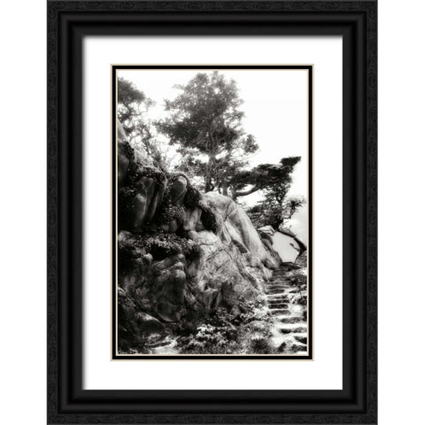 North Point Pathway II Black Ornate Wood Framed Art Print with Double Matting by Hausenflock, Alan