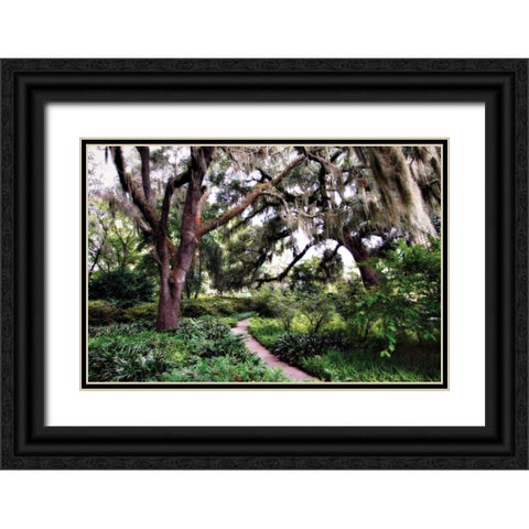 Sultry Garden I Black Ornate Wood Framed Art Print with Double Matting by Hausenflock, Alan