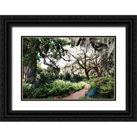 Sultry Garden II Black Ornate Wood Framed Art Print with Double Matting by Hausenflock, Alan