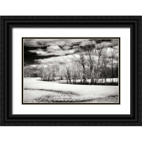 Hanover Winter I Black Ornate Wood Framed Art Print with Double Matting by Hausenflock, Alan