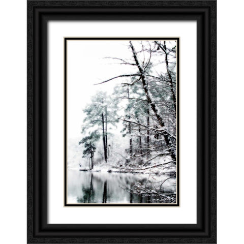 Shelly Lake in Winter I Black Ornate Wood Framed Art Print with Double Matting by Hausenflock, Alan