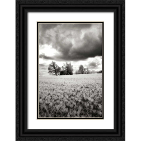 Stormy Skies I Black Ornate Wood Framed Art Print with Double Matting by Hausenflock, Alan