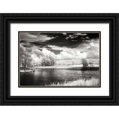 Shearon Lake II Black Ornate Wood Framed Art Print with Double Matting by Hausenflock, Alan