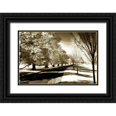 Stately Magnolias I Black Ornate Wood Framed Art Print with Double Matting by Hausenflock, Alan