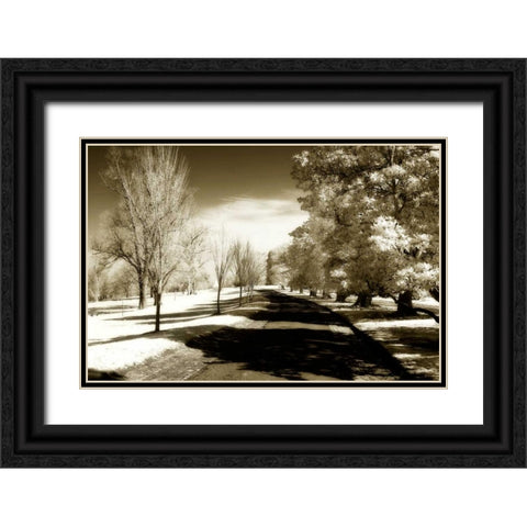 Stately Magnolias II Black Ornate Wood Framed Art Print with Double Matting by Hausenflock, Alan