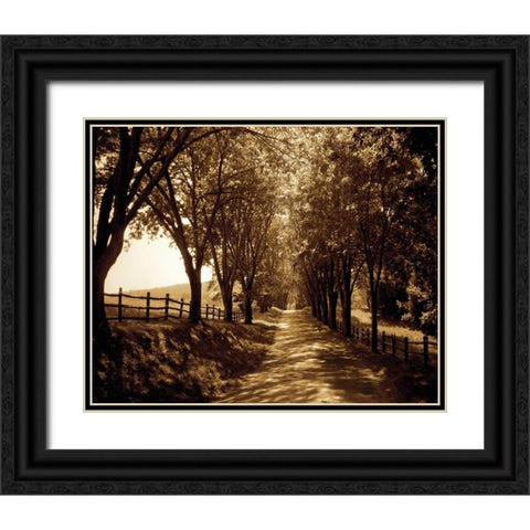 Ash Lawn I Black Ornate Wood Framed Art Print with Double Matting by Hausenflock, Alan