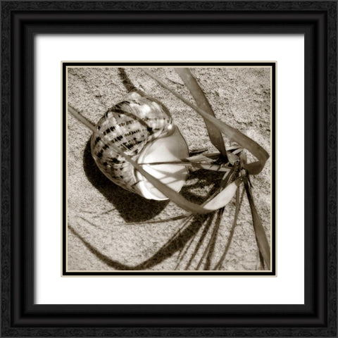 Seashells III Black Ornate Wood Framed Art Print with Double Matting by Hausenflock, Alan