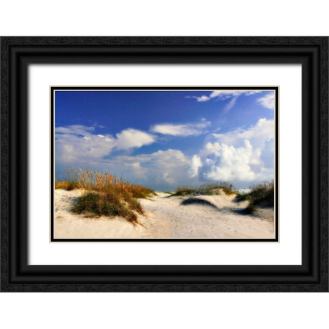 Summer Dunes II Black Ornate Wood Framed Art Print with Double Matting by Hausenflock, Alan