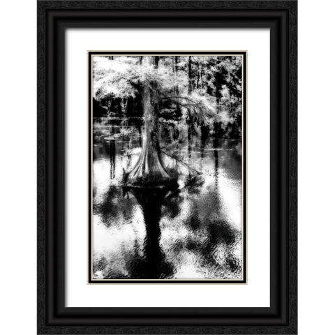 Trenton Cyprus II Black Ornate Wood Framed Art Print with Double Matting by Hausenflock, Alan