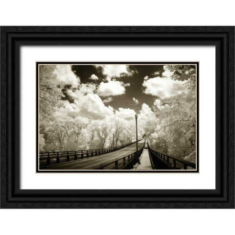 Boulevard Bridge I Black Ornate Wood Framed Art Print with Double Matting by Hausenflock, Alan