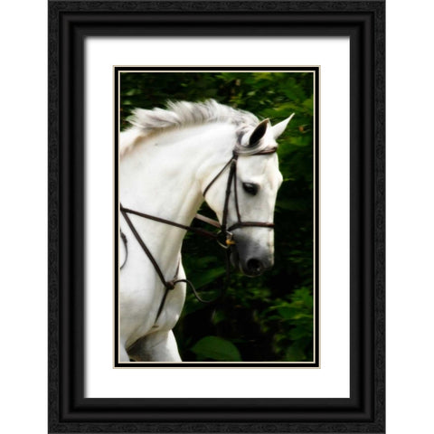 Phantom II Black Ornate Wood Framed Art Print with Double Matting by Hausenflock, Alan