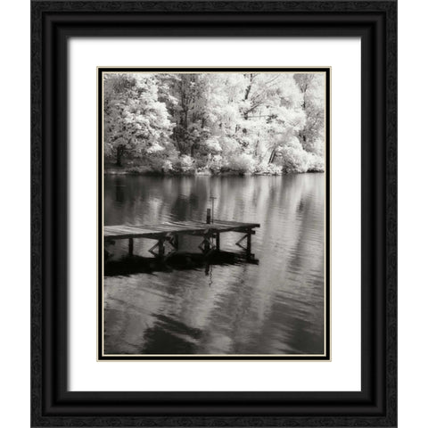 Mint Springs Lake BW V Black Ornate Wood Framed Art Print with Double Matting by Hausenflock, Alan
