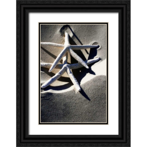 Sea Stars I Black Ornate Wood Framed Art Print with Double Matting by Hausenflock, Alan