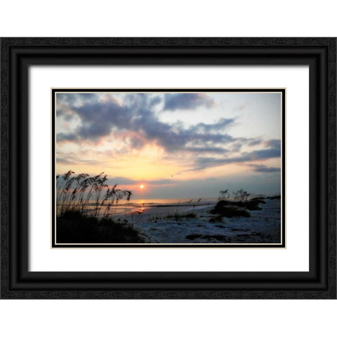 Masonboro Inlet II Black Ornate Wood Framed Art Print with Double Matting by Hausenflock, Alan