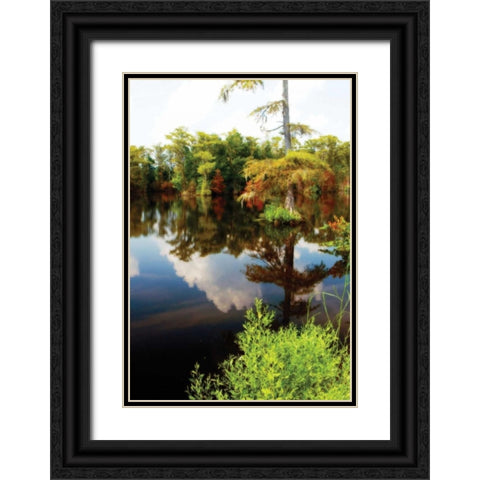 Still Water II Black Ornate Wood Framed Art Print with Double Matting by Hausenflock, Alan