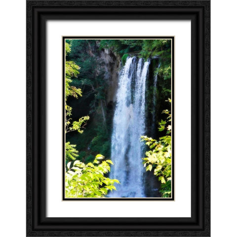 Falling Springs I Black Ornate Wood Framed Art Print with Double Matting by Hausenflock, Alan
