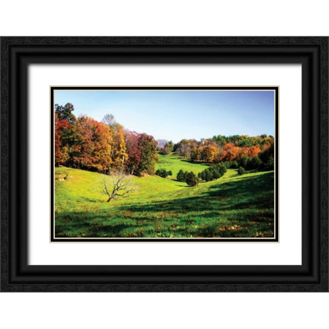 Virginia Hills I Black Ornate Wood Framed Art Print with Double Matting by Hausenflock, Alan