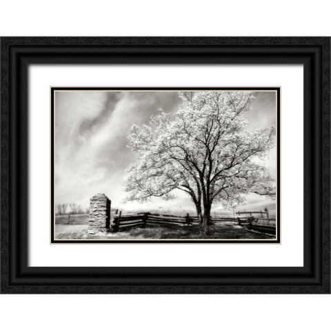 McCormick Road II Black Ornate Wood Framed Art Print with Double Matting by Hausenflock, Alan