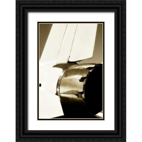 Tomcat I Black Ornate Wood Framed Art Print with Double Matting by Hausenflock, Alan