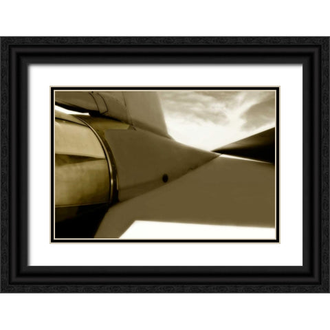 Tomcat III Black Ornate Wood Framed Art Print with Double Matting by Hausenflock, Alan