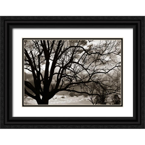Approaching Storm II Black Ornate Wood Framed Art Print with Double Matting by Hausenflock, Alan