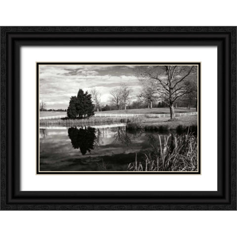 Edgeworth Farm II Black Ornate Wood Framed Art Print with Double Matting by Hausenflock, Alan