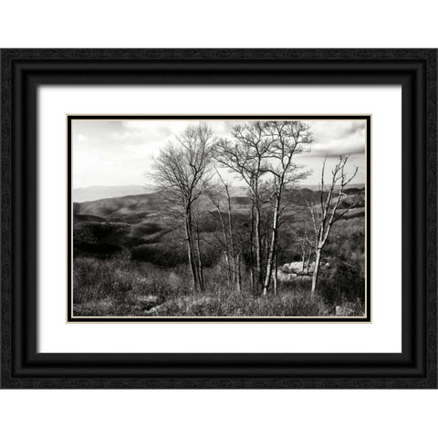 Bare Sentinals I Black Ornate Wood Framed Art Print with Double Matting by Hausenflock, Alan