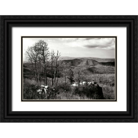 Bare Sentinals II Black Ornate Wood Framed Art Print with Double Matting by Hausenflock, Alan