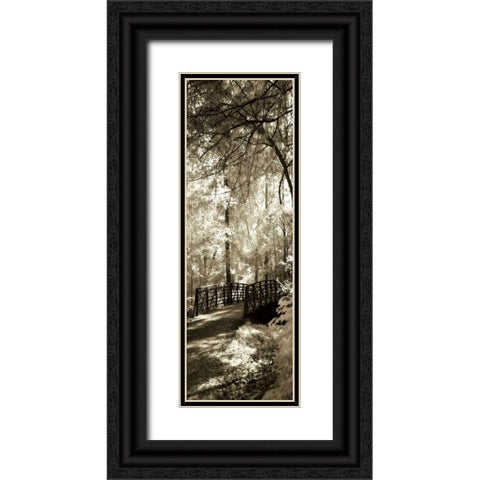 Summer Bridge Panel Black Ornate Wood Framed Art Print with Double Matting by Hausenflock, Alan