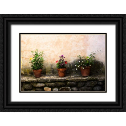 Flowers on a Wall Black Ornate Wood Framed Art Print with Double Matting by Hausenflock, Alan