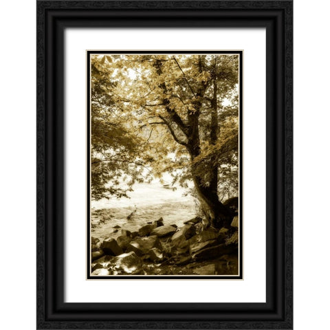By the River Wide I Black Ornate Wood Framed Art Print with Double Matting by Hausenflock, Alan