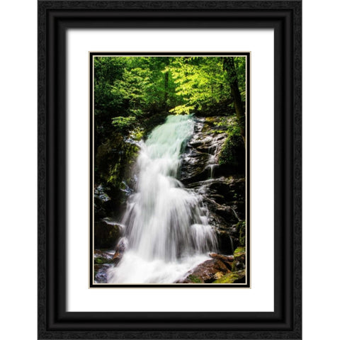 Deep Woods Waterfall II Black Ornate Wood Framed Art Print with Double Matting by Hausenflock, Alan