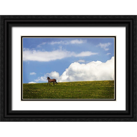Horses in the Clouds I Black Ornate Wood Framed Art Print with Double Matting by Hausenflock, Alan