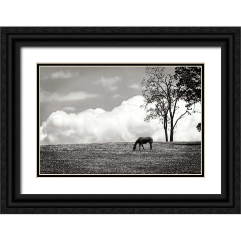 Horses in the Clouds II - BW Black Ornate Wood Framed Art Print with Double Matting by Hausenflock, Alan
