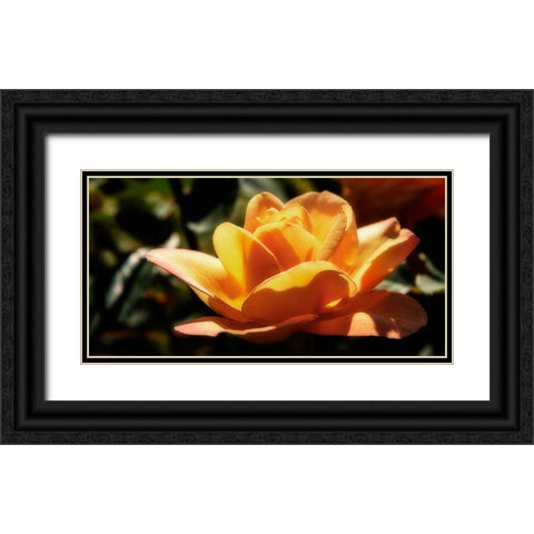 Queen of Flowers I Black Ornate Wood Framed Art Print with Double Matting by Hausenflock, Alan
