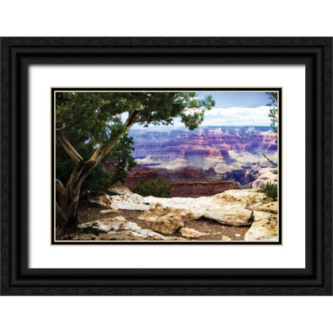 The Canyon I Black Ornate Wood Framed Art Print with Double Matting by Hausenflock, Alan
