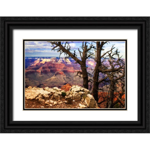 The Caynon IV Black Ornate Wood Framed Art Print with Double Matting by Hausenflock, Alan