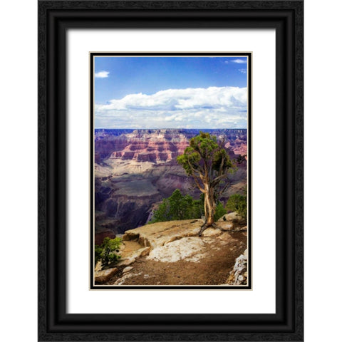 The Canyon Rim I Black Ornate Wood Framed Art Print with Double Matting by Hausenflock, Alan
