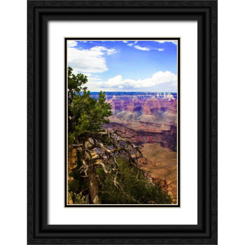 The Canyon Rim II Black Ornate Wood Framed Art Print with Double Matting by Hausenflock, Alan