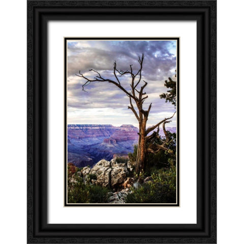 Evening on the Rim I Black Ornate Wood Framed Art Print with Double Matting by Hausenflock, Alan