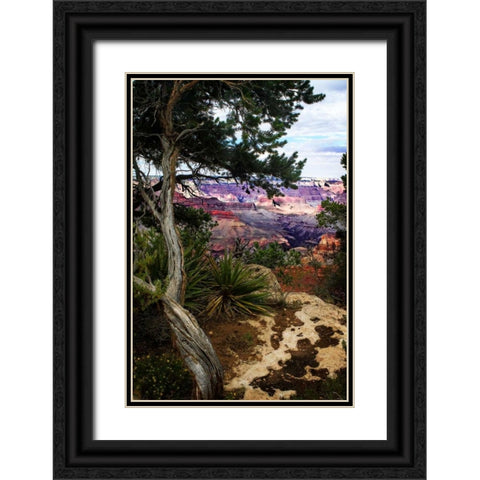 Eveing on the Rim II Black Ornate Wood Framed Art Print with Double Matting by Hausenflock, Alan