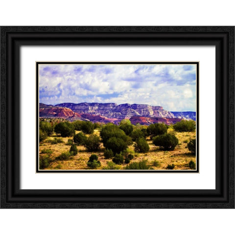 The High Desert I Black Ornate Wood Framed Art Print with Double Matting by Hausenflock, Alan