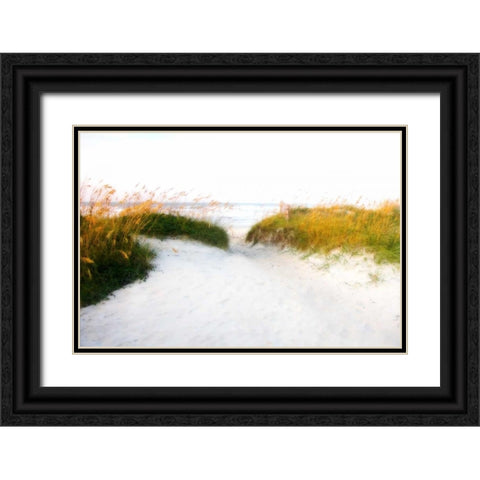 Sullen Sky I Black Ornate Wood Framed Art Print with Double Matting by Hausenflock, Alan