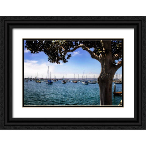 San Diego Que IV Black Ornate Wood Framed Art Print with Double Matting by Hausenflock, Alan