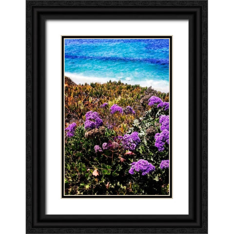 La Jolla Beach II Black Ornate Wood Framed Art Print with Double Matting by Hausenflock, Alan